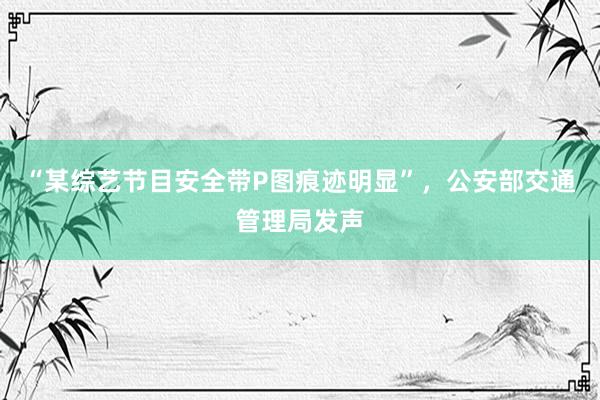 “某综艺节目安全带P图痕迹明显”，公安部交通管理局发声