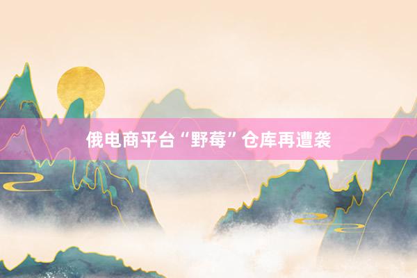 俄电商平台“野莓”仓库再遭袭