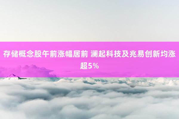存储概念股午前涨幅居前 澜起科技及兆易创新均涨超5%