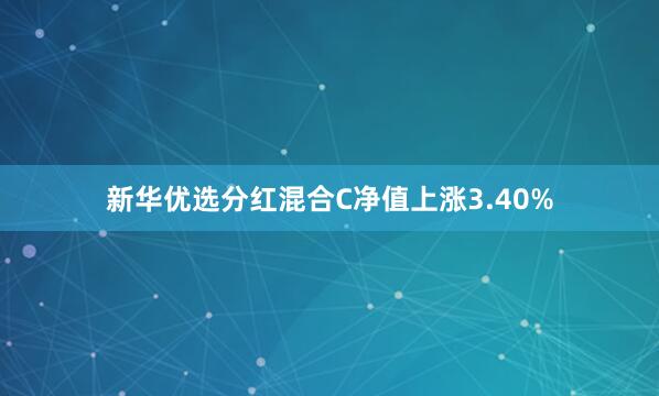 新华优选分红混合C净值上涨3.40%