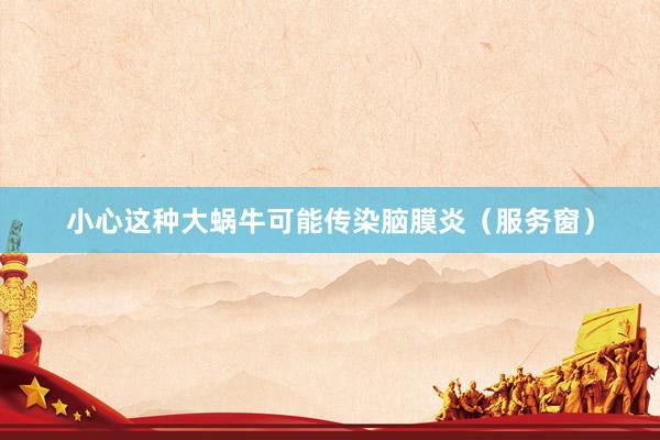 小心这种大蜗牛可能传染脑膜炎（服务窗）