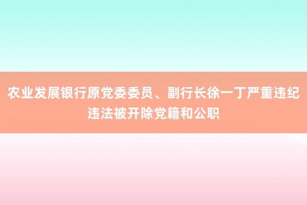 农业发展银行原党委委员、副行长徐一丁严重违纪违法被开除党籍和公职