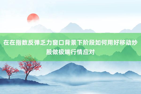 在在指数反弹乏力窗口背景下阶段如何用好移动炒股做极端行情应对