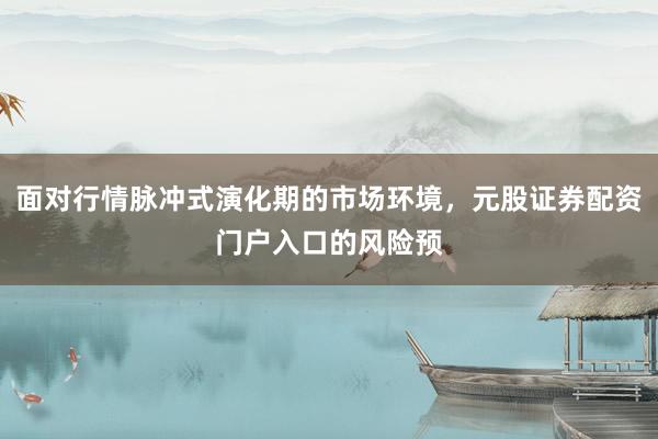 面对行情脉冲式演化期的市场环境，元股证券配资门户入口的风险预