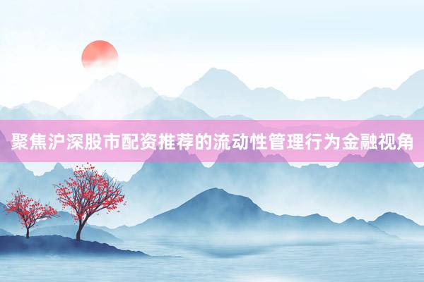 聚焦沪深股市配资推荐的流动性管理行为金融视角