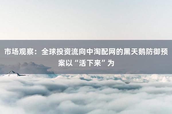 市场观察：全球投资流向中淘配网的黑天鹅防御预案以“活下来”为