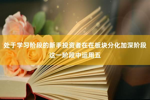 处于学习阶段的新手投资者在在板块分化加深阶段这一阶段中运用五