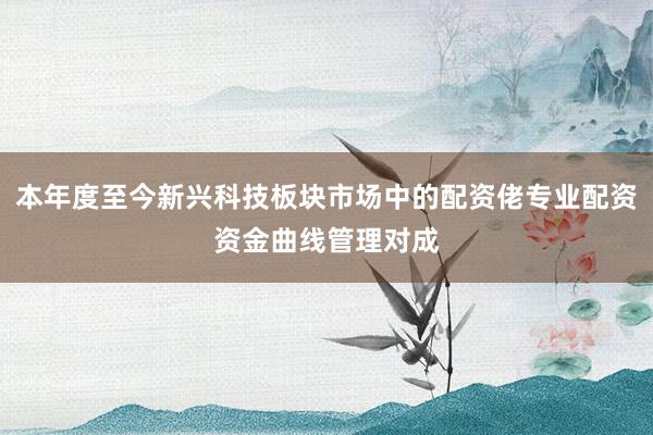 本年度至今新兴科技板块市场中的配资佬专业配资资金曲线管理对成