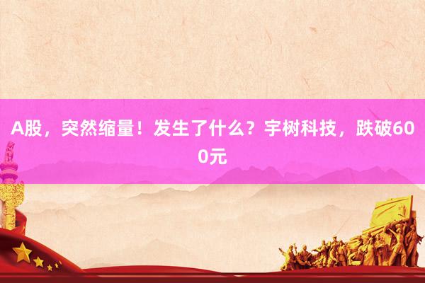 A股，突然缩量！发生了什么？宇树科技，跌破600元