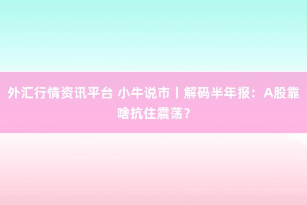 外汇行情资讯平台 小牛说市丨解码半年报：A股靠啥抗住震荡？