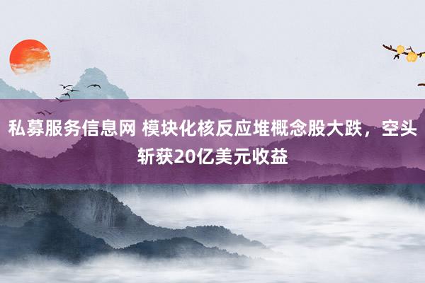 私募服务信息网 模块化核反应堆概念股大跌，空头斩获20亿美元收益