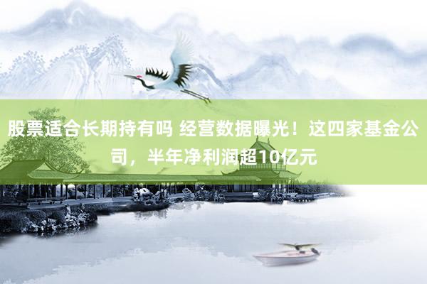股票适合长期持有吗 经营数据曝光!这四家基金公司,半年净利润超10亿元