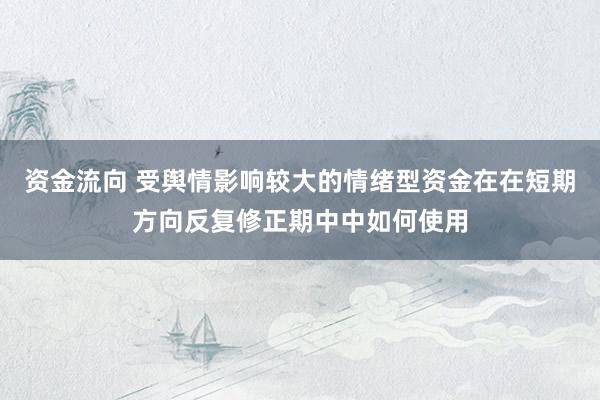 资金流向 受舆情影响较大的情绪型资金在在短期方向反复修正期中中如何使用