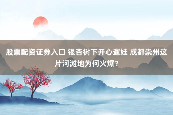 股票配资证券入口 银杏树下开心遛娃 成都崇州这片河滩地为何火爆？