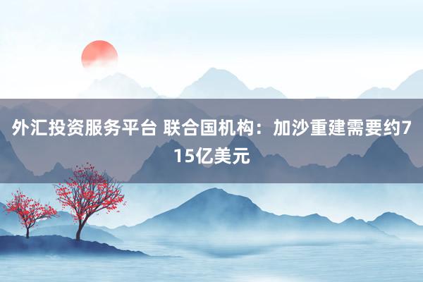 外汇投资服务平台 联合国机构：加沙重建需要约715亿美元