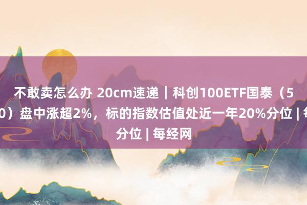 不敢卖怎么办 20cm速递｜科创100ETF国泰（588120）盘中涨超2%，标的指数估值处近一年20%分位 | 每经网