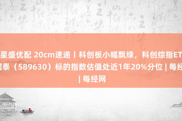 星盛优配 20cm速递丨科创板小幅飘绿，科创综指ETF国泰（589630）标的指数估值处近1年20%分位 | 每经网