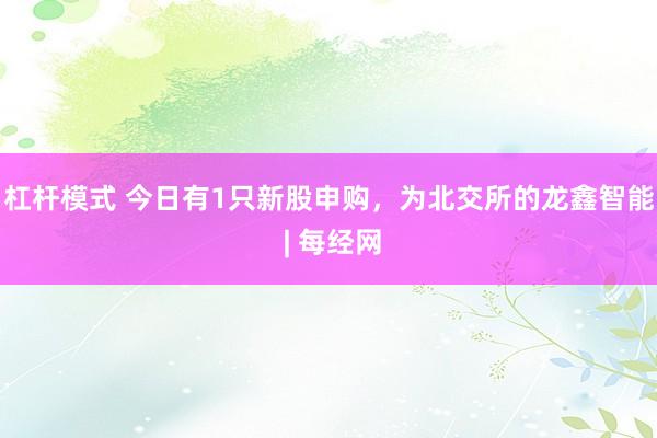 杠杆模式 今日有1只新股申购，为北交所的龙鑫智能 | 每经网