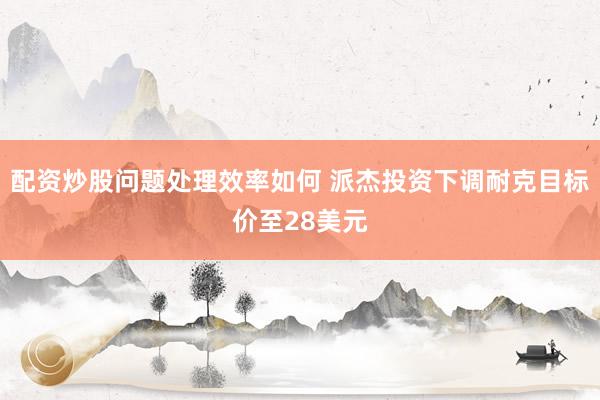 配资炒股问题处理效率如何 派杰投资下调耐克目标价至28美元
