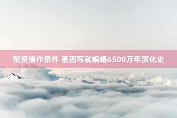 配资操作条件 基因写就蝙蝠6500万年演化史