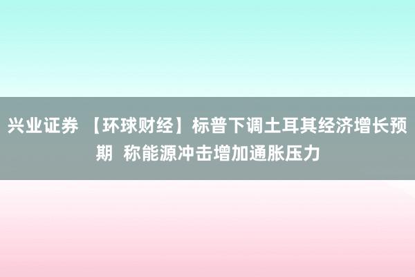 兴业证券 【环球财经】标普下调土耳其经济增长预期  称能源冲击增加通胀压力