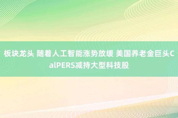 板块龙头 随着人工智能涨势放缓 美国养老金巨头CalPERS减持大型科技股