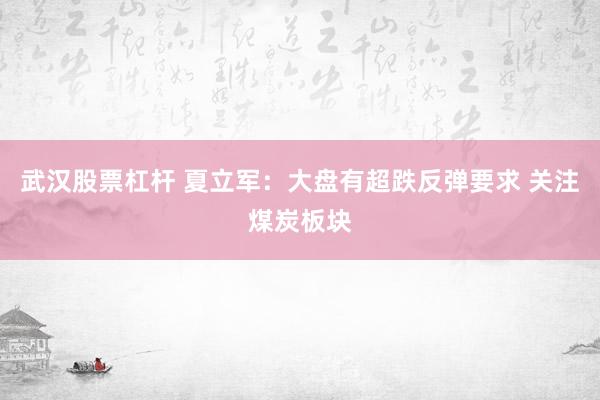武汉股票杠杆 夏立军：大盘有超跌反弹要求 关注煤炭板块