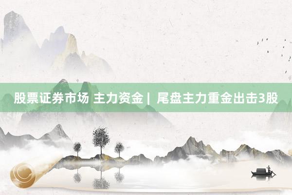 股票证券市场 主力资金 |  尾盘主力重金出击3股